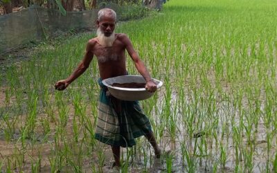 ক্ষুদ্র কৃষকের সমস্যা এবং সমাধানের সন্ধানে