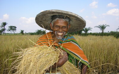 FARMERS’ SEED RIGHTS  IN BANGLADESH CONTEXT